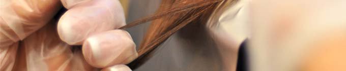 Header_images_680x140 DSC_1643