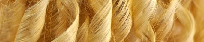Header_images_680x140 DSC_3007_2